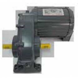 Motorreductor vertical